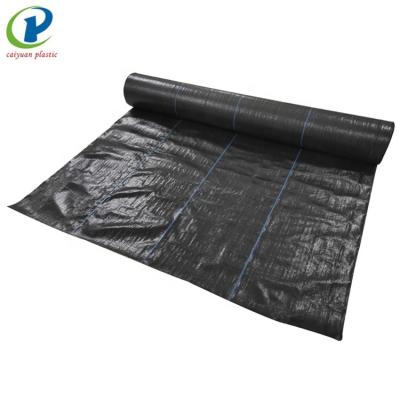 China Anti-grass orchard plasti is agricultural grass ground cover netting fabric weed barrier for sale