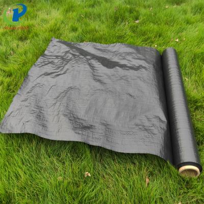 China Black Anti-grass Polypropylene Ground Cover Weed Barrier Mat Cloth Mulch Film for sale