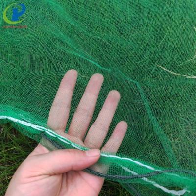 China Agriculture Monofilament Green PE Fruit Cover Date Palm Mesh Bag for sale