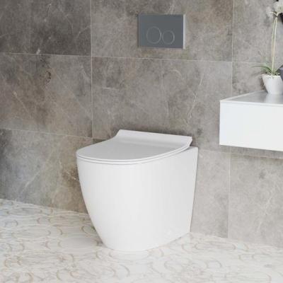 China Rectangular Plastic HDPE Concealed Wall Hung Dual Flush Cistern WallHung Toilets TUSSON Quality for sale