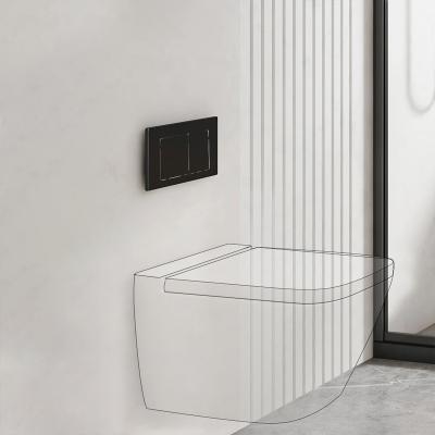 China 400mm Concealed Wall Hung Toilet Tank With Dual Flush Optional Flush Plate en venta