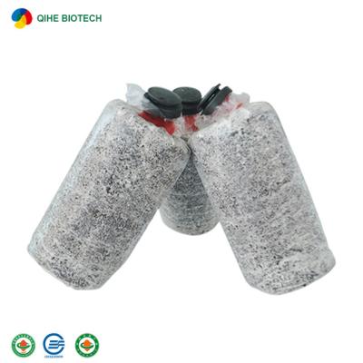 China FROZEN Gray Seed Substrates Oyster Farming Mushroom Price Mushroom Factory Fresh Spawning Logs Mushroom Factory Sales for sale