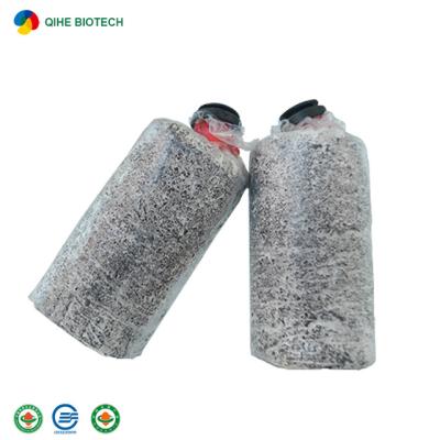 China FROZEN King Oyster Mushroom Spawning Substrate Breed Bags for sale