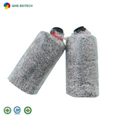 China FROZEN King Oyster Mushroom ISO22000 Certificate Grow Bags Cheap Price for sale