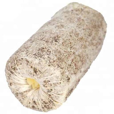 China Agriculture Mushroom Industry Non-pollution Stereoscopic FROZEN King Oyster Sprinkle Ready-to-Fruit Spawn Bags Growing Kit for sale