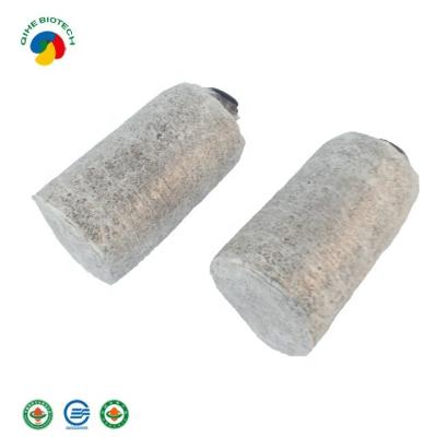 China Qihe King Oyster Mushroom Fresh Culture Bottle Top Quality for sale