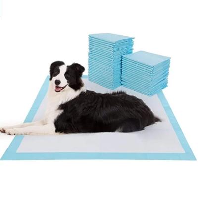 China 20pcs Dog Training Disposable Pet Diaper Super Viable Absorbent Healthy Diaper Mat High Quality Male Dog Soft for sale