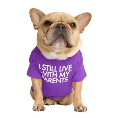 China Viable Bulldog Turtle Neck Around Neck Dog Shirts Bichon Pet Clothes Teddy Small and Medium Puppy Cat Pullover Dog Clothing for sale