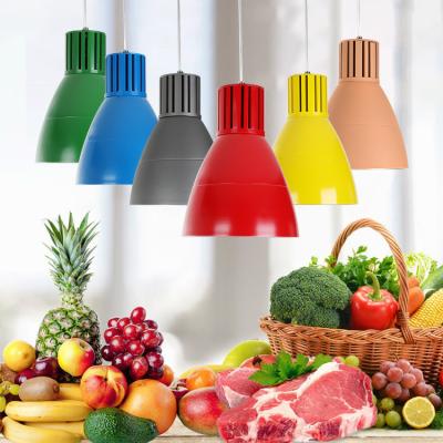 China New Contemporary Cool Lamps Vegetable LED Food Display Lighting Fresh Seafood Meat 30 Watt Cool Pendant Light for sale