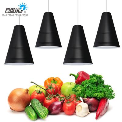 China Maid Lamp Cool Pig Lamp Cool Vegetables Fruit Cooked Seafood Food 30 36 Watt Led Cool Pendant Lights for sale