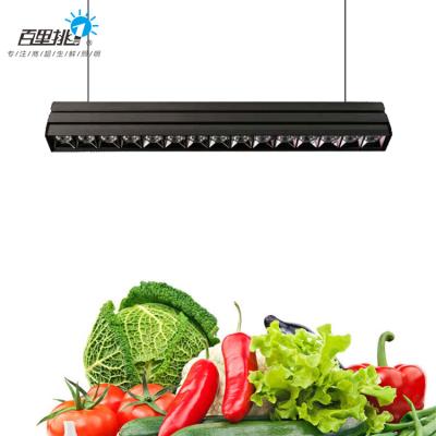 China 2022 Modern New Design Dimmable Aluminum Adjustable 24w 28w 30w 36w 40w Ceiling Commercial Led Linear Track Light for sale