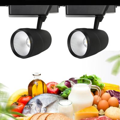 China Aluminum Energy Saving Projector Supermarket Cool Fruit Chains Farmers Market 30 Watt Led Track Cool Lamp for sale