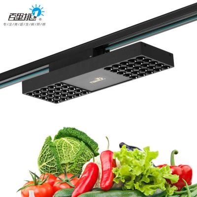 China Ultra-thin Led Pig Aluminum Fresh Farmers Market Lamp 40w Vegetable Fruit Shop Fill Light Indoor Seafood Fresh Lights for sale