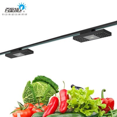 China Aluminum High Efficiency 5 Years Warranty Meat Vegetables Fruit Bread Seafood Aluminum Body 40w Led Cool Lights for sale