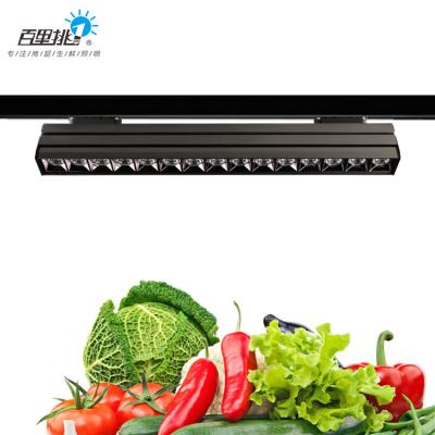 China China Manufacturer Decoration Supermarket Meat Aluminum Vegetable Lighting Lamp Dimmable 24W LED Linear Cool Fill Lights for sale