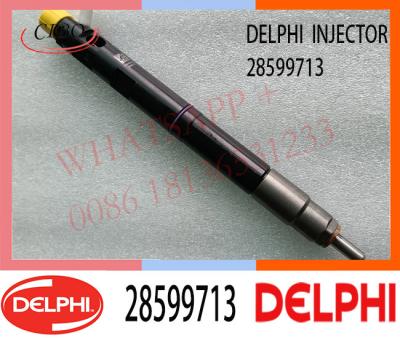 China 28599713 DELPHI Common Rail-brandstofinjector 1100100XED95 1100100X-ED95 Te koop