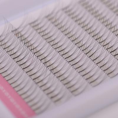 China Wholesale good quality natural soft mikiwi premade fan eyelash extensions 10-20 mm for sale