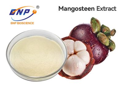 China 100% Natural Fruit Vegetable Powder Supplement 30% Polyphenols Garcinia Mangostana Extract for sale