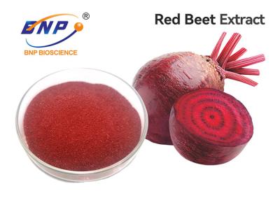 China Purple Fruit And Vegetable Powder Supplement 100% Natural Red Beet Root Extract for sale