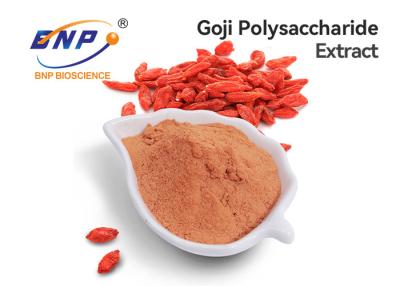 China 60% Polysaccharide Go Ji Extract Lycium Barbarum Fruit Powder for sale