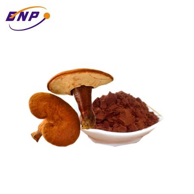 China Supply Natural Brazil Mushroom Extract Powder Polysaccharide 10%-50% for sale