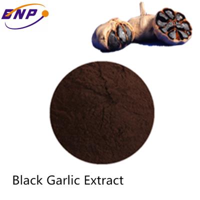 China S-Allyl-Cysteine 0.1% Black Garlic Extract B1600 Allium Sativum Bulb for sale