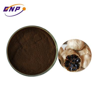 China 0.16% SAC Aged Black Garlic Extract Allium Sativum Powder for sale