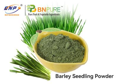 China Green Fruit Vegetable Powder Supplement Triticum Aestivum Barley Grass Juice Powder for sale