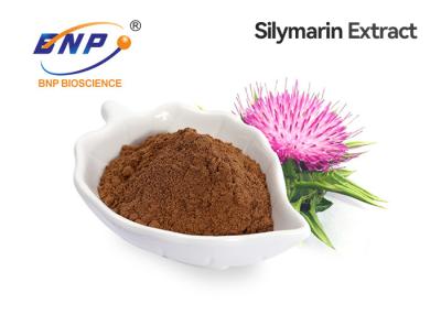 China Isosilybin 10% HPLC Milk Thistle Extract Supplement For Fatty Liver for sale