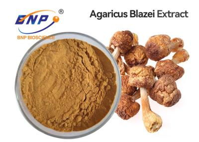 China Health Care Supplement Mushroom Extract Powder Organic Agaricus Blazei Murill for sale