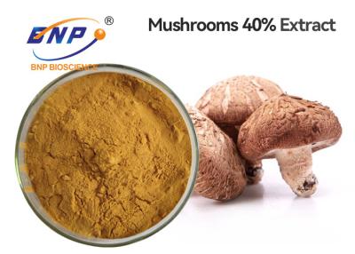 China GMP Dried Shiitake Mushroom Extract Powder Yellow Brown for sale