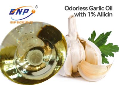 China GMP Allicin Extraction From Garlic Antibacterial 1% Allicin for sale