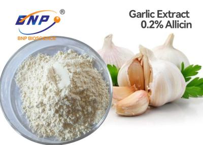 China White Powder Raw Garlic Extract 0.2% Allicin Allium Sativm L. for sale