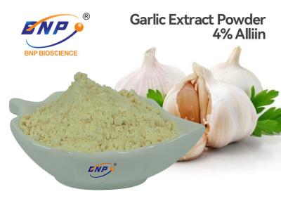 China GMP Odourless Garlic Extract Powder 4% Allicin BNP Brand for sale