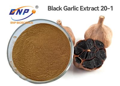 China 20-1 Healthcare Black Garlic Extract Brown Yellow powder for sale