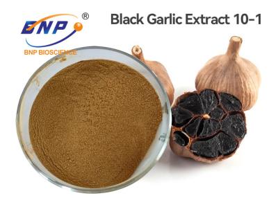 China Brown Fine Powder Black Garlic Extract 10-1 Polysaccharide for sale