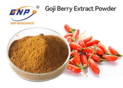 China Brown Organic Goji Berry Powder 25% Polysaccharide Wolfberry Lycium Barbarum for sale