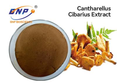 China Cantharellus Cibarius Mushroom Extract Powder Yellow Brown GMP for sale