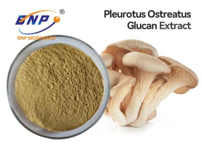 China Pleurotus Ostreatus Oyster Mushroom Extract Supplement Polysaccharide 10% for sale