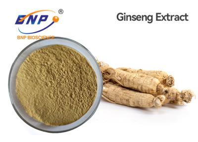 China Panax Ginseng Ca Meyer Natural Plant Extracts Ginsenoside 5% for sale