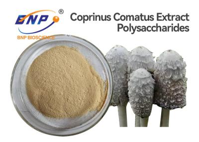 China UV Test Mushroom Extract Powder GMO Free Coprinus Comatus for sale