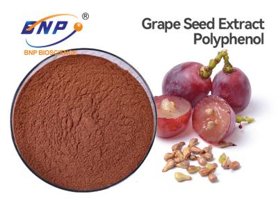 China BRC Health Balance Grape Seed Extract Powder Bulk Polyphenol 60% for sale