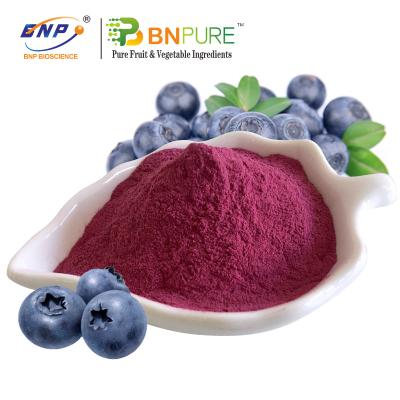 China Purple Red Blueberry Juice Powder Blueberry Powder for sale