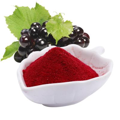 China Water Soluble Blackcurrant Juice Powder Blackcurrant Powder for sale