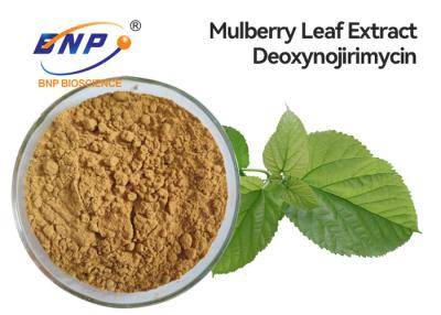 China Health Supplements Natural 5% DNJ Mulberry Leaf Extract Deoxynojirimycin for sale