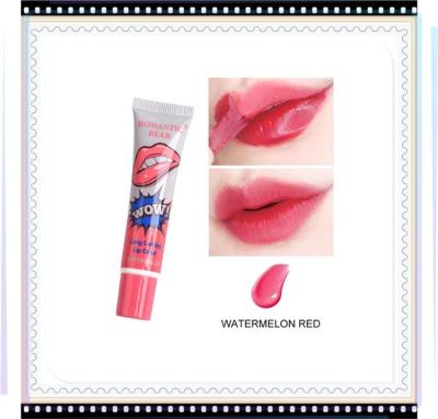 China Lips Beauty Makeup Wholesale High Quality Matte Waterproof Long Lasting 5 Color Lady's Cosmetic Romantic Bear Peel Off Lipstick Makeup Lip Gloss for sale