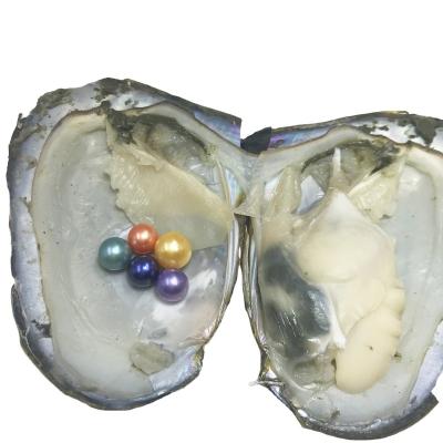 China Jewelry Making 6-8mm Saltwater Pearl Oyster Colorful Round Natural Seawater Pearls in Oyster for sale