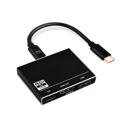 China Hembra del USB C al muelle portuario de carga del convertidor del adaptador de Multiport del EJE del paladio 100W para el interruptor de Nintendo en venta