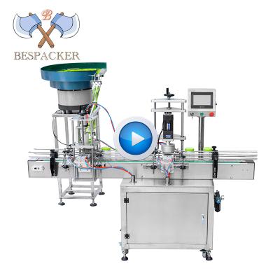 China QDX-1 Automatic Food Feeding Machine Bespacker Screw Capper Capping Machine for sale