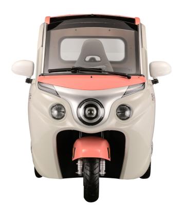 China .buy electric cargo tricycle for closed cargo 3 wheel mini scooter for sale